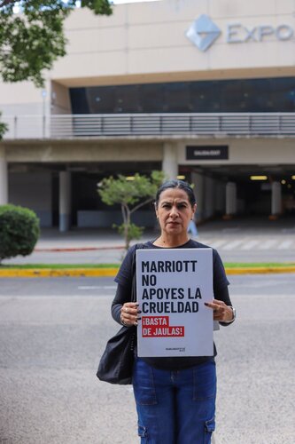 estuvimos protestando frente a The Westin Guadalajara, parte de Marriott, porque siguen usando huevo de gallinas enjauladas, a pesar de prometer desde hace más de 6 años que dejarían de hacerlo.
Las gallinas enjauladas viven confinadas sin poder abrir las alas, caminar o expresar sus comportamientos naturales.
Marriott prometió públicamente dejar de apoyar esta práctica cruel, pero no ha cumplido su palabra.
Exigimos coherencia y acciones reales.