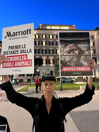 St Regis Rome - Marriott - 25 september