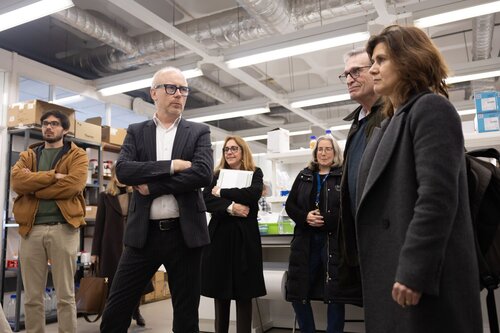 Paulo Pereira, Rodrigo martins, Paula Videira