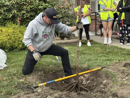 Capital Roots is planting hundreds of urban trees across the Capital Region to create healthier, cooler, and more resilient neighborhoods. With support from local partners and students, these plantings help improve air and water quality while inspiring the next generation of environmental stewards. For decades, Capital Roots has been transforming our communities through urban greening, and student involvement ensures this impact continues to grow for years to come.