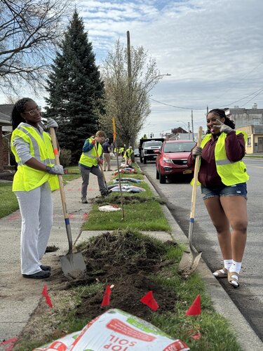 Capital Roots is planting hundreds of urban trees across the Capital Region to create healthier, cooler, and more resilient neighborhoods. With support from local partners and students, these plantings help improve air and water quality while inspiring the next generation of environmental stewards. For decades, Capital Roots has been transforming our communities through urban greening, and student involvement ensures this impact continues to grow for years to come.