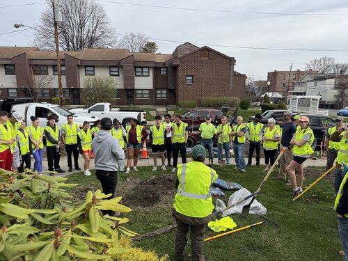Capital Roots is planting hundreds of urban trees across the Capital Region to create healthier, cooler, and more resilient neighborhoods. With support from local partners and students, these plantings help improve air and water quality while inspiring the next generation of environmental stewards. For decades, Capital Roots has been transforming our communities through urban greening, and student involvement ensures this impact continues to grow for years to come.