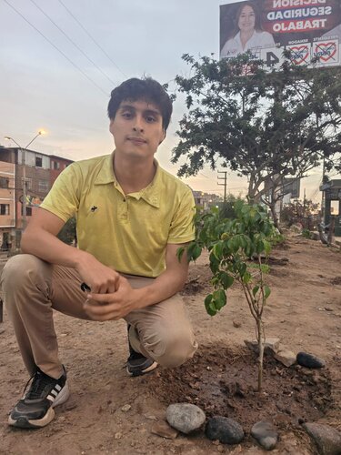Arborización en el distrito de Rímac