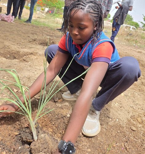 REPORT ON EARTH DAY ACTIVITIES AT CITY OF MERCY CHRISTIAN ACADEMY 
In line with the theme for this year’s Earth day  “Our Power, Our Planet” , Our school City of Mercy Christian Academy one of the Centre of Excellence  for Climate Smart Agriculture Youth Network Global (GCSAYN) Nigeria organised an event which featured an engaging workshop and establishing a herbal garden with the theme "Medicines from the Earth"

The event had 152  participants 
 of which  132 were elementary and high schoolers while the remaining 20 participants were teachers.

This was to educate the pupils and students of City of Mercy Christian Academy on the importance of caring for our Environment since they are young and easier to model good behavior in them.Also they can be encouraged to choose to be  actors or left to be Victims of a destroyed Earth.

The Theme " our power our planet "says it all in the sense that we lose our power when we lose our planet. We live and depend on the earth for ALL of  our resources such as water, food, earth, housing etc.
Mr Thomas Mafeng and his team was invited from the city’s agency responsible for environmental planning and development (Jos Metropolitan Development Board, JMDB) and Mr Satkat Longchi From the Department of Plant Science and biotechnology,  University of Jos. 
The session focused on issues affecting the earth  such as waste management, recycling, planting of trees to boost the supply of oxygen and disease prevention and control. These concepts were communicated such that both elementary graders and high schoolers could relate to them and put the recommended measures into practice. 
In line with theme of the earth day; Our Power, Our Planet, the first session was anchored by the Proprietor, City of Mercy Christian Academy, Veronica Edeki who introduced the theme to the students, highlighting the need for everyone to be conscious of the earth as a living entity.
Mr Thomas from the JMDB team brought further insight on how the earth supports humanity and so deserves to be cared for. The students were also educated on proper ways to dispose waste, prevent flooding, rodents and pest control and how to manage other environmental hazards.
The students then proceeded to plant various trees and herbs at the school garden as a way of putting into practice what they had learnt about caring for the earth by planting trees to increase the supply of oxygen in their environment. Plants such as Moringa, Aloe Vera, Lemon Grass, Sweet basil, and scent leaf were planted at the school garden by the students
Some of the insightful quotes by our learners can be found in the videos sent alongside the pictures sent to the link included.

Students gained insights in the following areas,Waste Management .Waste disposal 
Recycling,Rodents and pest prevention and control ,Disease prevention and control, Environmental hazards and earth hygiene
As well as practical Knowledge on how to plant trees and herbs stressing food and medicinal plants as benefits we detive from the Earth.

Earth day activities at City of Mercy Christian Academy was highly impactful as the students came up with some resolutions which focuses on behavioral changes that will help protect the earth. This can be found in videos sent alongside the pictures that accompany this report.
Thank you for creating awareness and an opportunity for us to join in this years Earth Day. The impact is surely going to be long lasting.