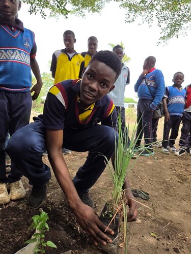 REPORT ON EARTH DAY ACTIVITIES AT CITY OF MERCY CHRISTIAN ACADEMY 
In line with the theme for this year’s Earth day  “Our Power, Our Planet” , Our school City of Mercy Christian Academy one of the Centre of Excellence  for Climate Smart Agriculture Youth Network Global (GCSAYN) Nigeria organised an event which featured an engaging workshop and establishing a herbal garden with the theme "Medicines from the Earth"

The event had 152  participants 
 of which  132 were elementary and high schoolers while the remaining 20 participants were teachers.

This was to educate the pupils and students of City of Mercy Christian Academy on the importance of caring for our Environment since they are young and easier to model good behavior in them.Also they can be encouraged to choose to be  actors or left to be Victims of a destroyed Earth.

The Theme " our power our planet "says it all in the sense that we lose our power when we lose our planet. We live and depend on the earth for ALL of  our resources such as water, food, earth, housing etc.
Mr Thomas Mafeng and his team was invited from the city’s agency responsible for environmental planning and development (Jos Metropolitan Development Board, JMDB) and Mr Satkat Longchi From the Department of Plant Science and biotechnology,  University of Jos. 
The session focused on issues affecting the earth  such as waste management, recycling, planting of trees to boost the supply of oxygen and disease prevention and control. These concepts were communicated such that both elementary graders and high schoolers could relate to them and put the recommended measures into practice. 
In line with theme of the earth day; Our Power, Our Planet, the first session was anchored by the Proprietor, City of Mercy Christian Academy, Veronica Edeki who introduced the theme to the students, highlighting the need for everyone to be conscious of the earth as a living entity.
Mr Thomas from the JMDB team brought further insight on how the earth supports humanity and so deserves to be cared for. The students were also educated on proper ways to dispose waste, prevent flooding, rodents and pest control and how to manage other environmental hazards.
The students then proceeded to plant various trees and herbs at the school garden as a way of putting into practice what they had learnt about caring for the earth by planting trees to increase the supply of oxygen in their environment. Plants such as Moringa, Aloe Vera, Lemon Grass, Sweet basil, and scent leaf were planted at the school garden by the students
Some of the insightful quotes by our learners can be found in the videos sent alongside the pictures sent to the link included.

Students gained insights in the following areas,Waste Management .Waste disposal 
Recycling,Rodents and pest prevention and control ,Disease prevention and control, Environmental hazards and earth hygiene
As well as practical Knowledge on how to plant trees and herbs stressing food and medicinal plants as benefits we detive from the Earth.

Earth day activities at City of Mercy Christian Academy was highly impactful as the students came up with some resolutions which focuses on behavioral changes that will help protect the earth. This can be found in videos sent alongside the pictures that accompany this report.
Thank you for creating awareness and an opportunity for us to join in this years Earth Day. The impact is surely going to be long lasting.