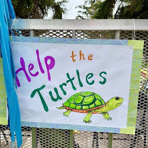 Our kids were BUSY!! We opened our community support plant stand, held 2 turtle parades, and cleaned up 61 bags of trash over 3 days!!