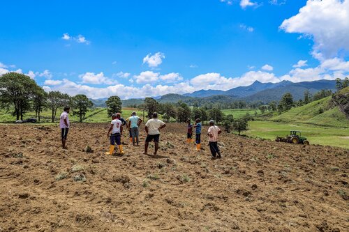 In commemoration of Earth Day 2026, OLU WATER (Liquid Island (Pvt) Ltd), under Rockland Distilleries (Pvt) Ltd Corporate Responsibility, partnered with the NLDB (National Livestock Development Board) to implement a targeted site rehabilitation initiative at an NLDB Manikpalama farmland opposite Haritha Kanda, Bopaththalawa. The actioned NLDB site is not a protected area but remains ecologically significant within the broader cloud forest landscape. Our prior assessments conducted in 2025 across the landscape indicated that approximately 67% of a 32Ha mapped area was under moderate to severe invasive species pressure. Also, the increased visitor activities during the Sinhala and Tamil New Year period further contributed to non-biodegradable waste accumulation at the site.
A rapid pre-intervention biodiversity assessment was conducted in the demarcated site to identify the presence of any threatened species requiring safeguards.  As no such species were recorded within, the actions followed. The restorations preliminary phase therefore proceeded with a combined focus on non-biodegradable solid waste removal and invasive species management. Target species included Austroeupatorium inulifolium and Cymbopogon nardus iradication. Removal was conducted using mechanized support, including a Harrow–Trailing and rotavator uprooting, (under the direct supervision of NLDB farm management) which followed by manual collection. Overall, the action occurred in the least infested invasive plant available land (4.89 Ha) as a pilot area to test restoration possibility.
A total of 26 participants, including NLDB personnel and Team Olu, contributed to the intervention. Uprooted biomass was systematically collected for composting, minimizing secondary ecological disturbance while facilitating nutrient recycling. The project will follow native grass introduction at the second phase. This activity functioned as a stepping stone in ecological response to address Biological Pollution (our theme to the 2026 financial year) within a broader restoration framework. This also enables community driven action in non-protected highland ecosystem.