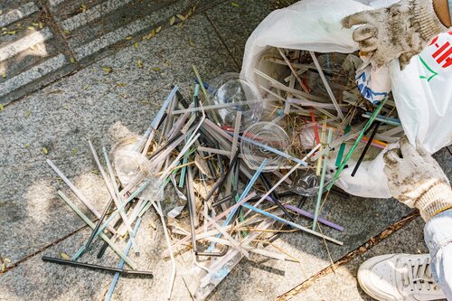 Cleanup activity in Thu Thiem, HCMC, Vietnam, organized by Laiday Refill and LoopNet Asia in April, with 34 volunteers collecting a total of 524 kgs of waste.
