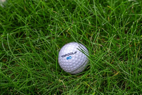 The image features a white golf ball nestled in lush, green grass. The golf ball prominently displays the text "TOPGOLF" in blue, along with the number "90" beneath it. The grass is vibrant and well-maintained, suggesting a golf course or practice area setting. The lighting is natural, likely indicating an outdoor environment during the day. The image conveys a sense of leisure and sport, associated with golfing activities. The close-up perspective emphasizes the texture of both the golf ball and the grass, creating a focused and serene atmosphere. There are no individuals or additional objects present, centering the viewer's attention solely on the golf ball and its immediate surroundings.
