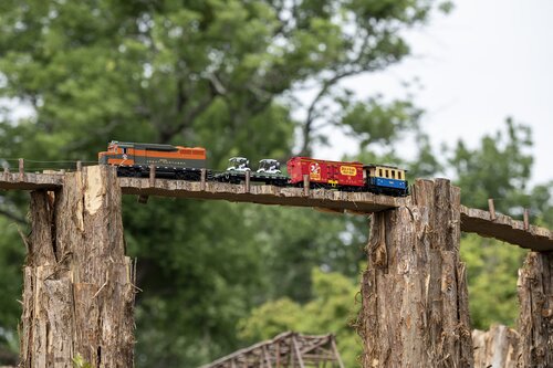 Photo by Caitlin Harris. Courtesy of Cheekwood Estate & Gardens.