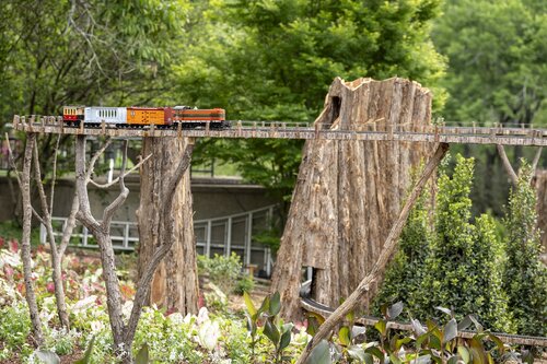 Photo by Caitlin Harris. Courtesy of Cheekwood Estate & Gardens.