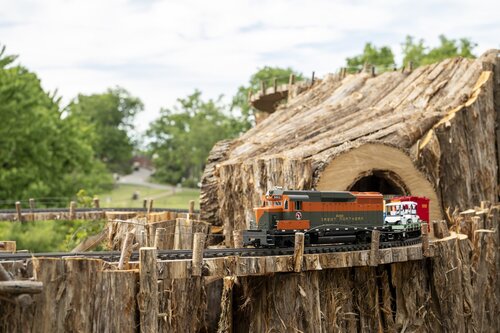 Photo by Caitlin Harris. Courtesy of Cheekwood Estate & Gardens.