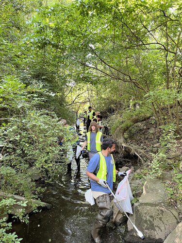 Volunteers gather to remove litter from Little Sugar Creek and clear and mark storm drains.