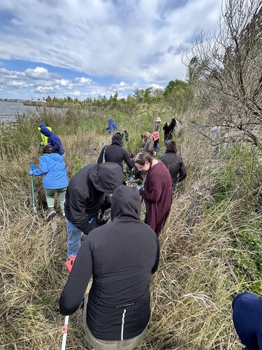 In just over an hour our group collected over 160 lbs. of trash from the shores of the Patapsco River at the Masonville Cove Environmental Center in Baltimore.
