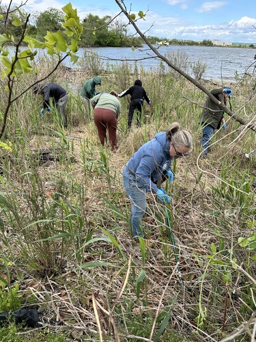 In just over an hour our group collected over 160 lbs. of trash from the shores of the Patapsco River at the Masonville Cove Environmental Center in Baltimore.