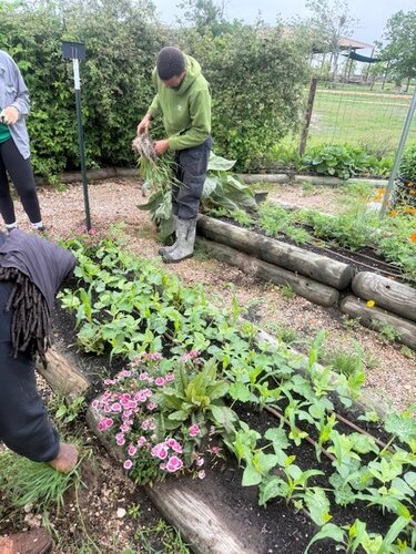 AAYHF was honored to partner with Casa de Miel, giving back through hands‑on service in one of their beautiful garden spaces, honoring the land and the people it nourishes.