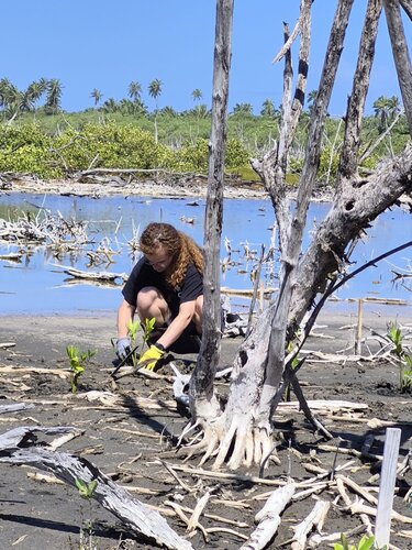 Surfrider Puerto Rico - April 22nd with University of Puerto Rico
50 Mangroves Planted with students at the Reserva Natural Comunitaria Mabodamaca, Isabela