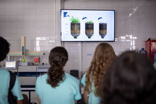 Solo: a base da vida na Terra,. Vanessa Correia. Ciências e Engenharia do Ambiente. DCEA