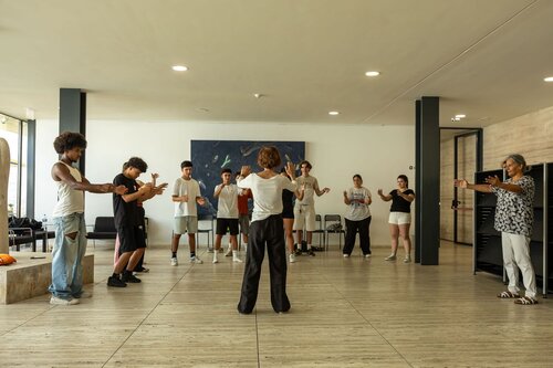 Taijwuzxigong. Maria Cristina Sousa. Gabinete de Apoio Psicológico e Aconselhamento Vocacional, GAPAV