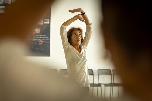 Taijwuzxigong. Maria Cristina Sousa. Gabinete de Apoio Psicológico e Aconselhamento Vocacional, GAPAV