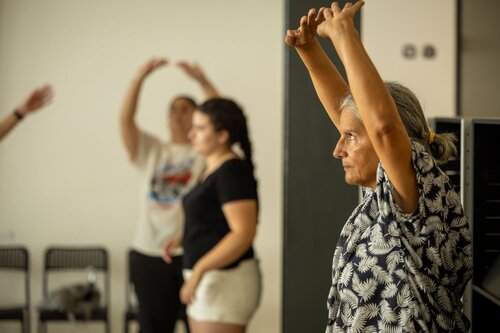 Taijwuzxigong. Maria Cristina Sousa. Gabinete de Apoio Psicológico e Aconselhamento Vocacional, GAPAV