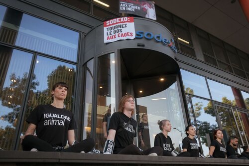 Animal Equality activists chained themselves to the headquarters of Sodexo in Paris with one clear demand: end cages for hens.

Credit: Raffaele Petralla⁩ | Animal Equality