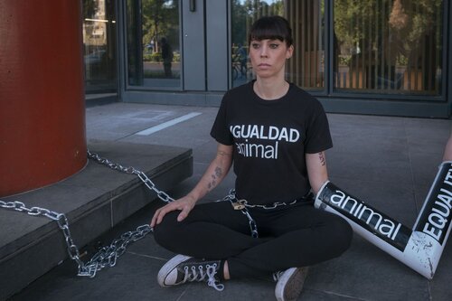 Animal Equality activists chained themselves to the headquarters of Sodexo in Paris with one clear demand: end cages for hens.

Credit: Raffaele Petralla⁩ | Animal Equality