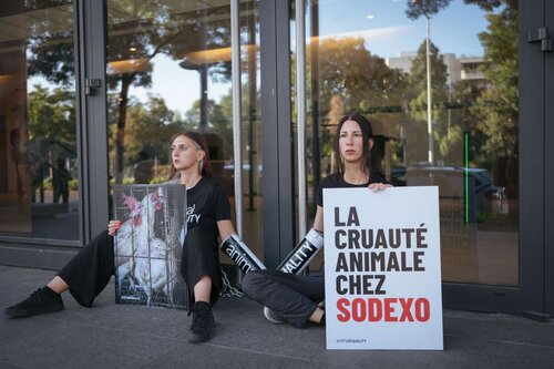 Animal Equality activists chained themselves to the headquarters of Sodexo in Paris with one clear demand: end cages for hens.

Credit: Raffaele Petralla⁩ | Animal Equality