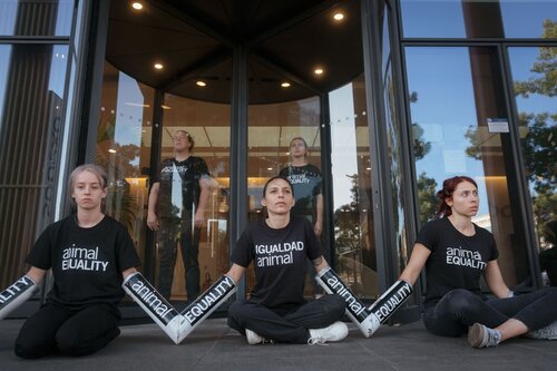 Animal Equality activists chained themselves to the headquarters of Sodexo in Paris with one clear demand: end cages for hens.

Credit: Raffaele Petralla⁩ | Animal Equality