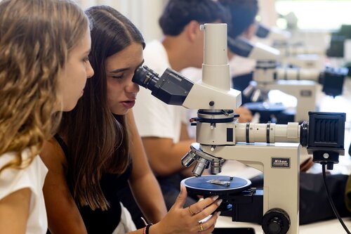 Rochas ao Microscópio: Descobre o Mundo Escondido dos Minerais. Departamento de Ciências da Terra, DCT