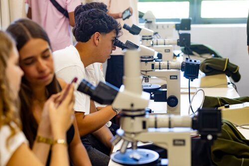 Rochas ao Microscópio: Descobre o Mundo Escondido dos Minerais. Departamento de Ciências da Terra, DCT
