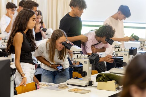 Rochas ao Microscópio: Descobre o Mundo Escondido dos Minerais. Departamento de Ciências da Terra, DCT