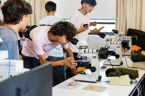 Rochas ao Microscópio: Descobre o Mundo Escondido dos Minerais. Departamento de Ciências da Terra, DCT