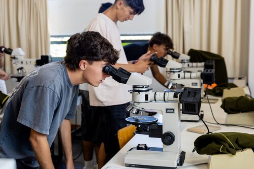 Rochas ao Microscópio: Descobre o Mundo Escondido dos Minerais. Departamento de Ciências da Terra, DCT