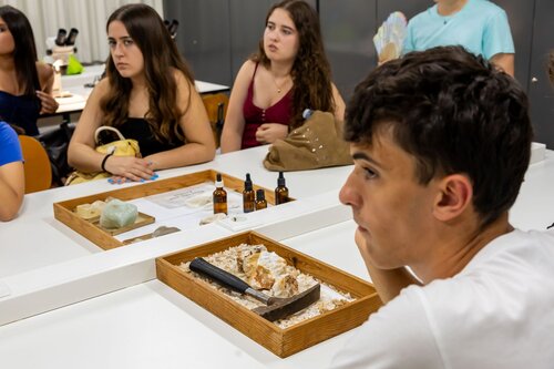 Rochas ao Microscópio: Descobre o Mundo Escondido dos Minerais. Departamento de Ciências da Terra, DCT