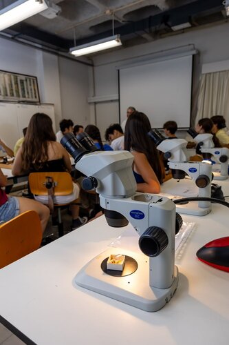 Rochas ao Microscópio: Descobre o Mundo Escondido dos Minerais. Departamento de Ciências da Terra, DCT