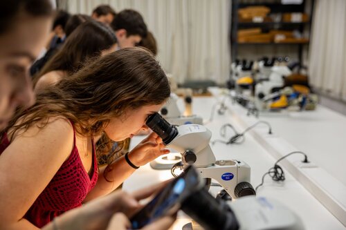Rochas ao Microscópio: Descobre o Mundo Escondido dos Minerais. Departamento de Ciências da Terra, DCT