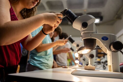 Rochas ao Microscópio: Descobre o Mundo Escondido dos Minerais. Departamento de Ciências da Terra, DCT