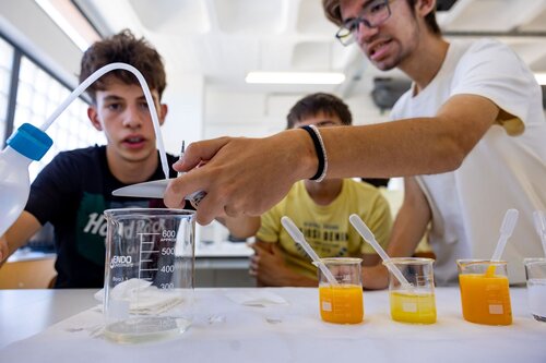 Descobrindo os açúcares dos frutos. Lab 235D Laboratório Tecnologias Agroindustriais. Vitor Souza. Departamento de Ciência da Terra, DCT
