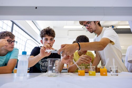 Descobrindo os açúcares dos frutos. Lab 235D Laboratório Tecnologias Agroindustriais. Vitor Souza. Departamento de Ciência da Terra, DCT