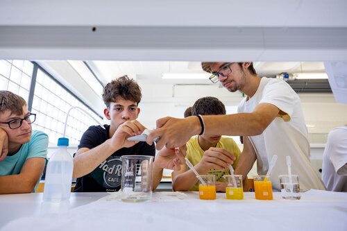 Descobrindo os açúcares dos frutos. Lab 235D Laboratório Tecnologias Agroindustriais. Vitor Souza. Departamento de Ciência da Terra, DCT
