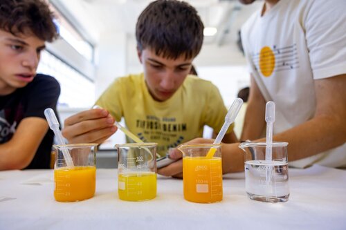 Descobrindo os açúcares dos frutos. Lab 235D Laboratório Tecnologias Agroindustriais. Vitor Souza. Departamento de Ciência da Terra, DCT