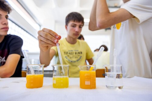 Descobrindo os açúcares dos frutos. Lab 235D Laboratório Tecnologias Agroindustriais. Vitor Souza. Departamento de Ciência da Terra, DCT