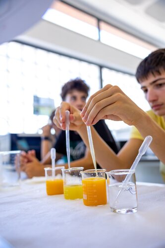 Descobrindo os açúcares dos frutos. Lab 235D Laboratório Tecnologias Agroindustriais. Vitor Souza. Departamento de Ciência da Terra, DCT