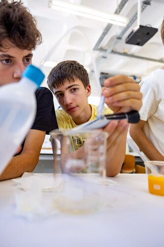 Descobrindo os açúcares dos frutos. Lab 235D Laboratório Tecnologias Agroindustriais. Vitor Souza. Departamento de Ciência da Terra, DCT