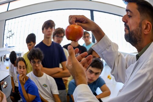 Descobrindo os açúcares dos frutos. Lab 235D Laboratório Tecnologias Agroindustriais. Vitor Souza. Departamento de Ciência da Terra, DCT