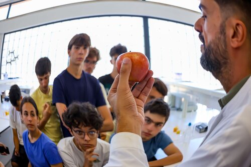 Descobrindo os açúcares dos frutos. Lab 235D Laboratório Tecnologias Agroindustriais. Vitor Souza. Departamento de Ciência da Terra, DCT