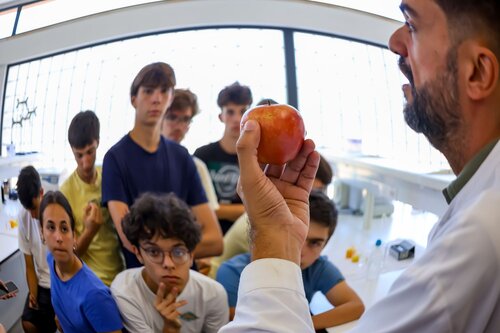 Descobrindo os açúcares dos frutos. Lab 235D Laboratório Tecnologias Agroindustriais. Vitor Souza. Departamento de Ciência da Terra, DCT