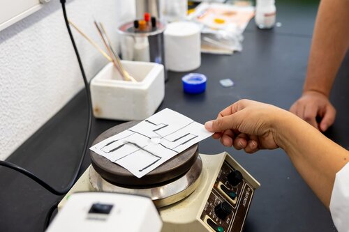 O Poder do Invisível: Cria um Detetor de UV usando Papel, lápis e  nanomateriais. Departamento de Ciências dos Materiais, DCM