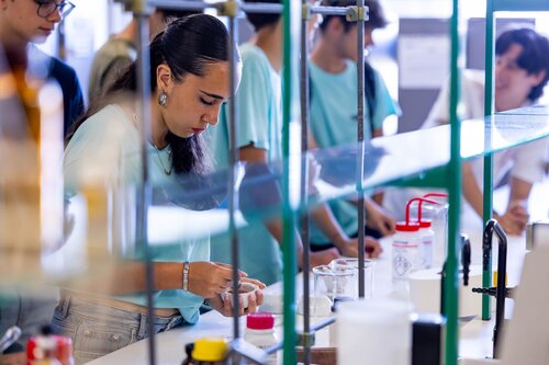 Missão Bioquímica: Descobre o Mecanismo da Enzima e a Cura nas Algas. Departamento de Química, DQ